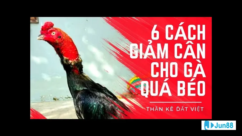 Bổ sung nước và chất điện giải Bổ sung nước và chất điện giải