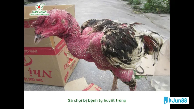 Tư thế đứng khác thường