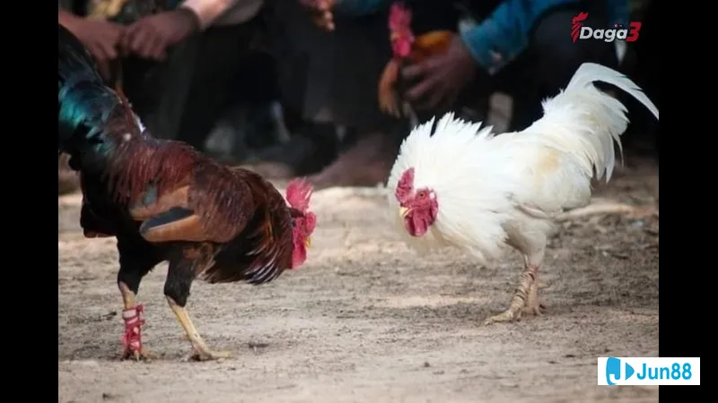 Chạy bộ buổi sáng trong công viên Chạy bộ buổi sáng trong công viên