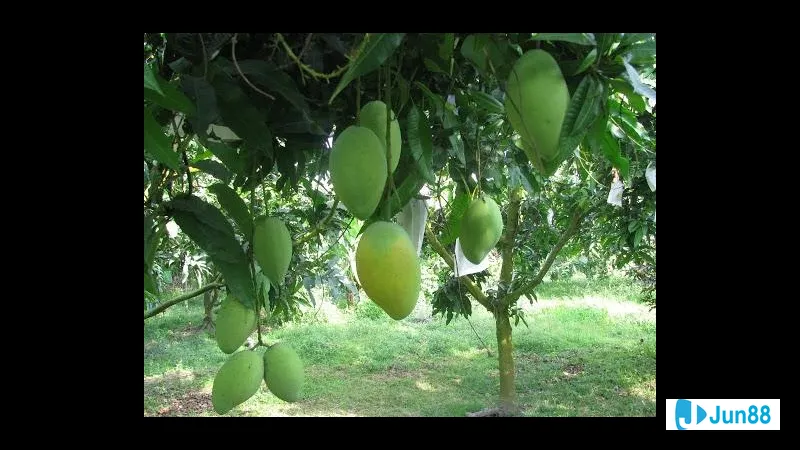 Con số may mắn liên quan đến mơ Con số may mắn liên quan đến mơ