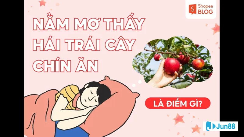Con số may mắn liên quan đến trái Con số may mắn liên quan đến trái
