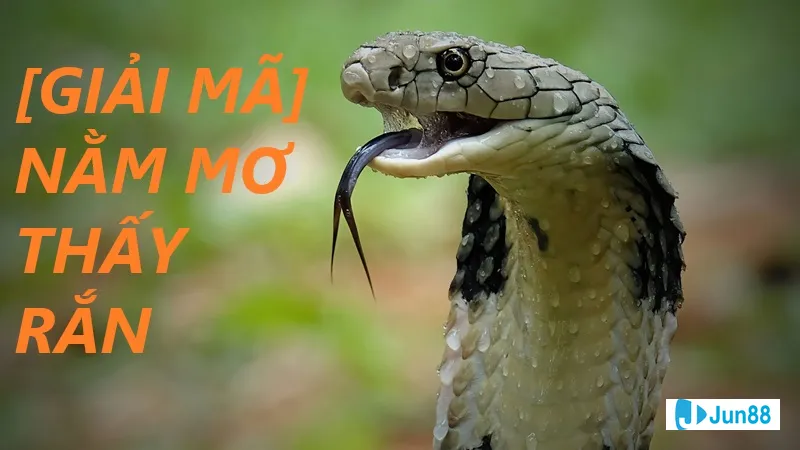 Minh họa cho Ý nghĩa của việc mơ