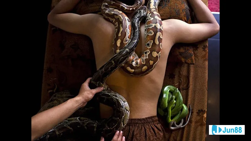 Con trăn đáng sợ