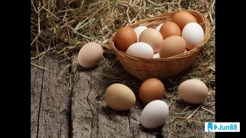 Trứng gà đậm màu trên nền đen Trứng gà đậm màu trên nền đen