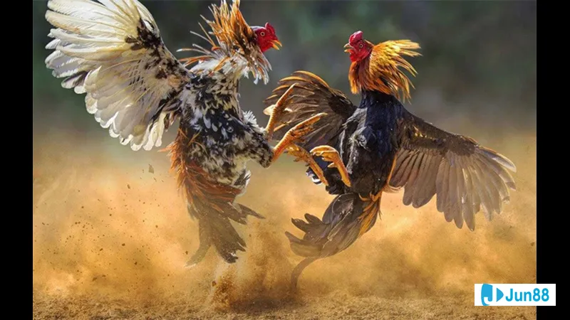 Phòng khách hiện đại với gam màu trắng