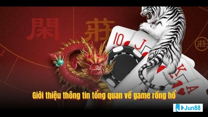 Cửa Hòa bị hạn chế bởi rào chắn Cửa Hòa bị hạn chế bởi rào chắn