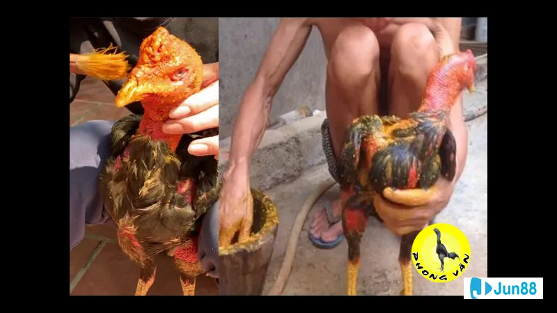 Chuẩn bị dụng cụ và hỗn hợp Chuẩn bị dụng cụ và hỗn hợp