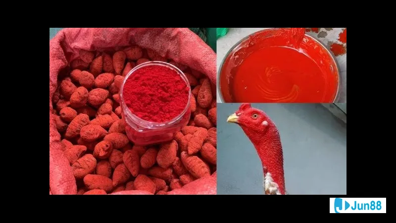 Những bước nhẹ nhàng trong thiên nhiên Những bước nhẹ nhàng trong thiên nhiên